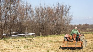 Rupa u Islamu Grčkom Rupa u Islamu Grčkom