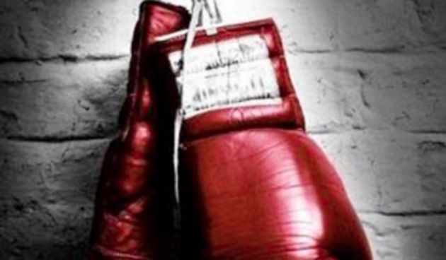 Boks, foto: www.balkanac.rs