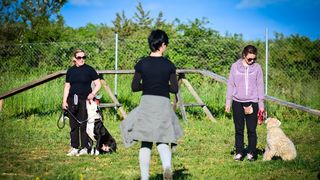 Kinološka udruga Malinois