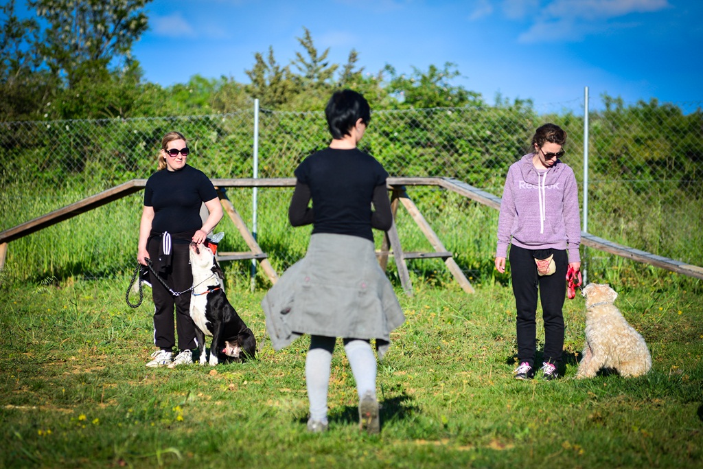 Kinološka udruga Malinois