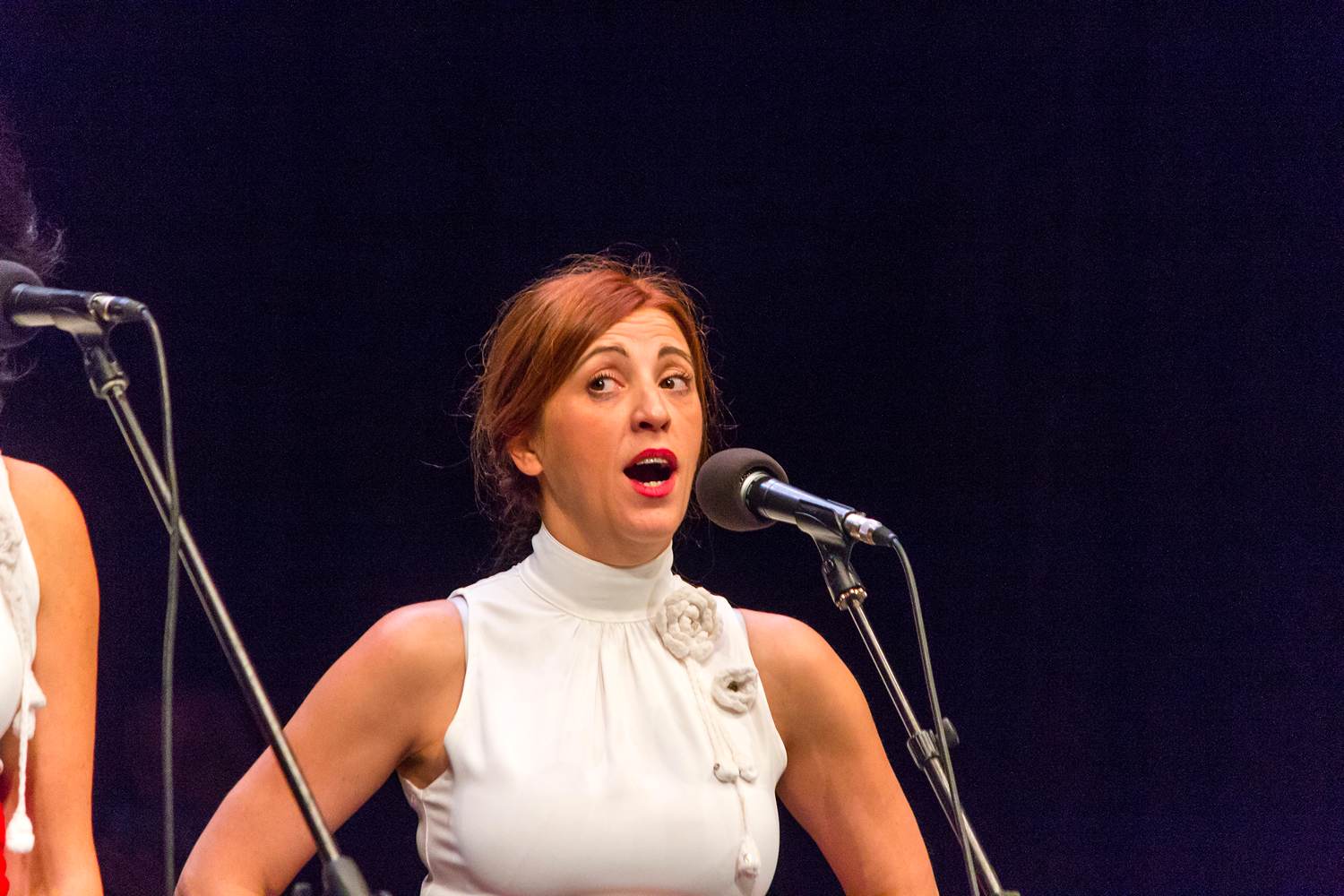 Klapa “Libar” je 30. listopada obilježila 10-tu obljetnicu, Foto: Mladen Radolović Mrlja