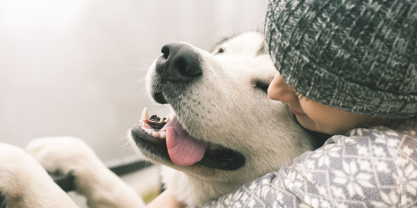 Žena i pas Žena i pas