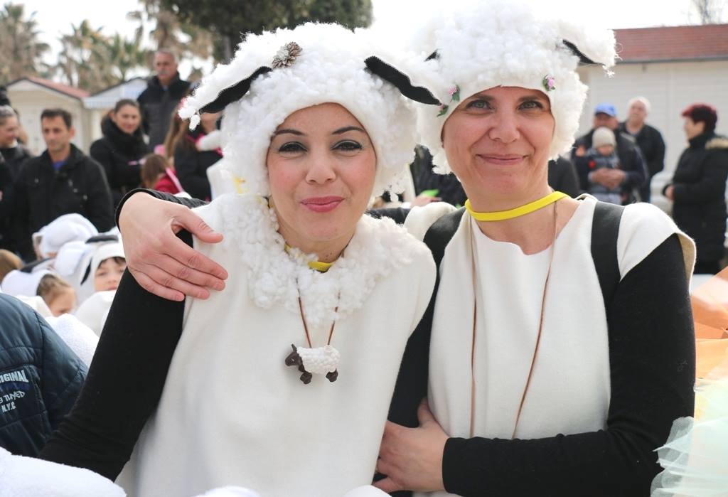 Virski Karnevalić 2017.