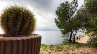 Skitnja gradom 11. listopada 2013.  Foto: Roberto Lerga