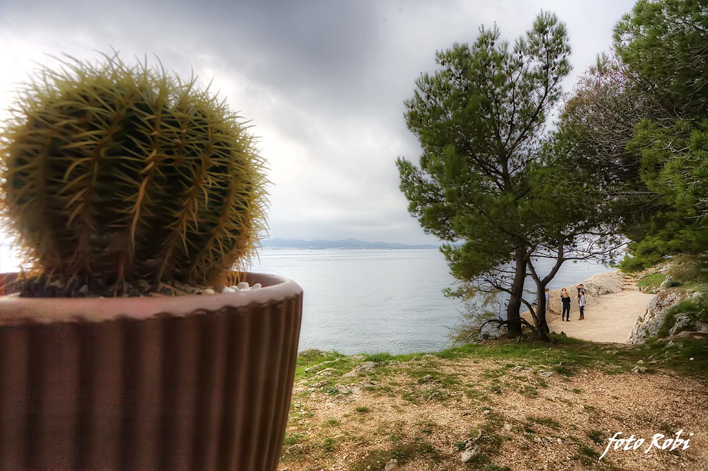 Skitnja gradom 11. listopada 2013.  Foto: Roberto Lerga