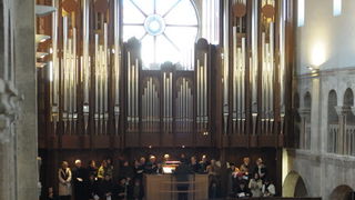 Nove orgulje u katedrali Svete Stosije u Zadru, Foto: Darko Dilber