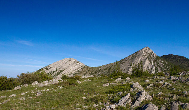 Divlji konji Velebita, foto: Leo Banic