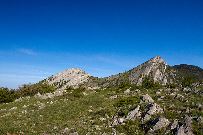 Divlji konji Velebita, foto: Leo Banic
