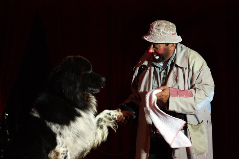 Cirkus Apollo (foto: Filip Plazonić)