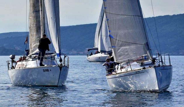 17. Zadarska koka