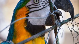 Zaton Obrovački: ZOO s egzotičnim i domaćim životinjama Zaton Obrovački: ZOO s egzotičnim i domaćim životinjama