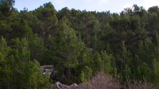Ugodno prijepodne uz tok rijeke Karešnice i stare zapuštene mlinove, foto: Darko Belančić