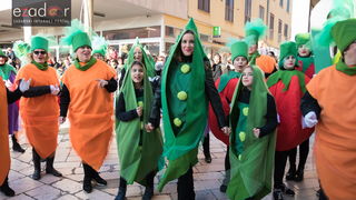 Zadarski karneval 2018: Povorka maškaranih skupina od Gradskih vrata preko Foruma do Narodnog trga Zadarski karneval 2018: Povorka maškaranih skupina od Gradskih vrata preko Foruma do Narodnog trga