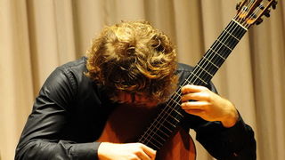 Koncert Petra Culica