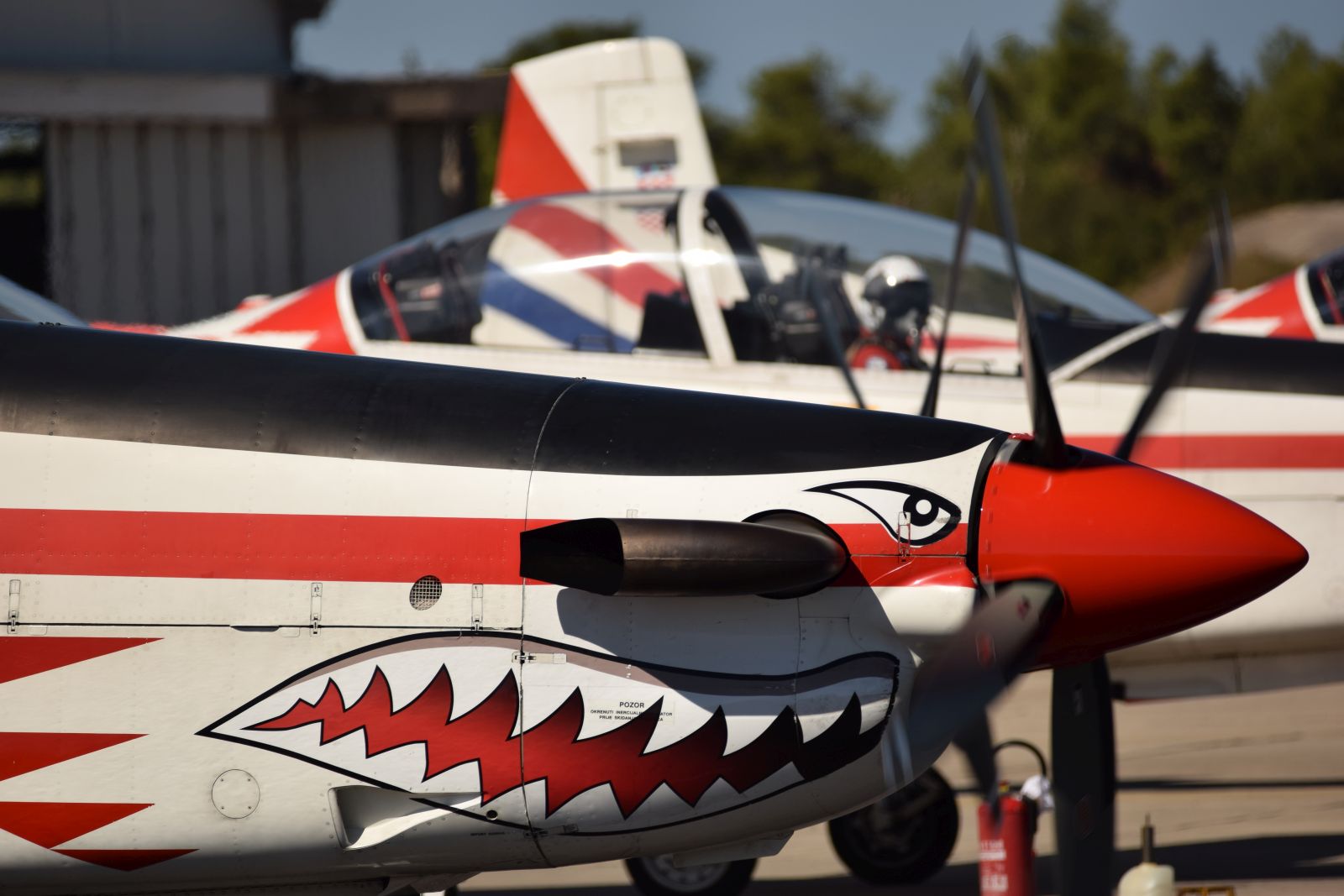 “Krila Oluje” na obljetnici osnutka 134. domobranske pukovnije Hrvatske vojske