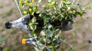 Pogledajte cvijetne fantazije na 53. Floraartu