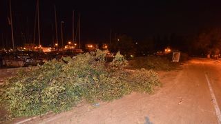 Prosvjed građana zbog odluke Grada da posječe drvored fafarikula u Vruljici Prosvjed građana zbog odluke Grada da posječe drvored fafarikula u Vruljici