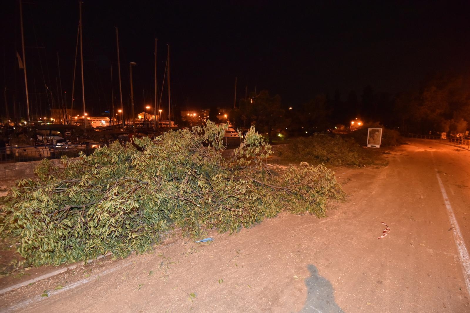 Prosvjed građana zbog odluke Grada da posječe drvored fafarikula u Vruljici Prosvjed građana zbog odluke Grada da posječe drvored fafarikula u Vruljici