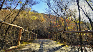 Jesen u kanjonu Velike Paklenice