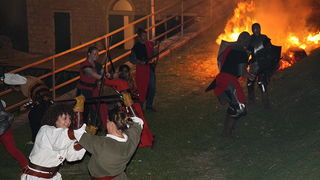 Zvonimirovi dani, Knin 28. i 29. lipnja 2008.