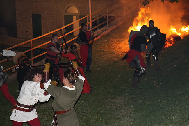 Zvonimirovi dani, Knin 28. i 29. lipnja 2008.