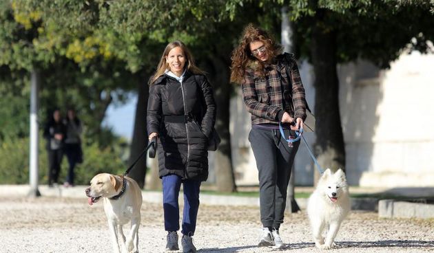 Prohladan, ali iznimno lijep i sunčan dan građani Zadra su iskoristili za šetnju prekrasnom rivom.  Photo: Filip Brala/PIXSELL