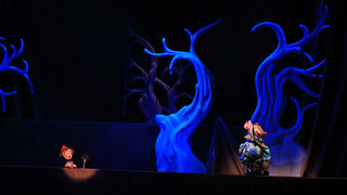 Premijera Pinokija u Kazalištu lutaka Zadar