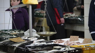 Đir po pešakariji 24. veljače 2012, Foto. Saša Čuka Đir po pešakariji 24. veljače 2012, Foto. Saša Čuka