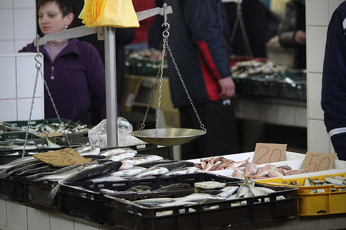 Đir po pešakariji 24. veljače 2012, Foto. Saša Čuka Đir po pešakariji 24. veljače 2012, Foto. Saša Čuka