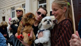 Skup podrške za NO KILL skloništa za životinje,  foto Iva Perinčić