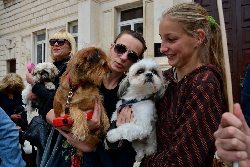 Skup podrške za NO KILL skloništa za životinje,  foto Iva Perinčić