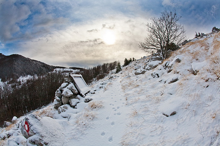 Đir do vrha Zečjak na sjevernom Velebitu, Foto: Leo Banić