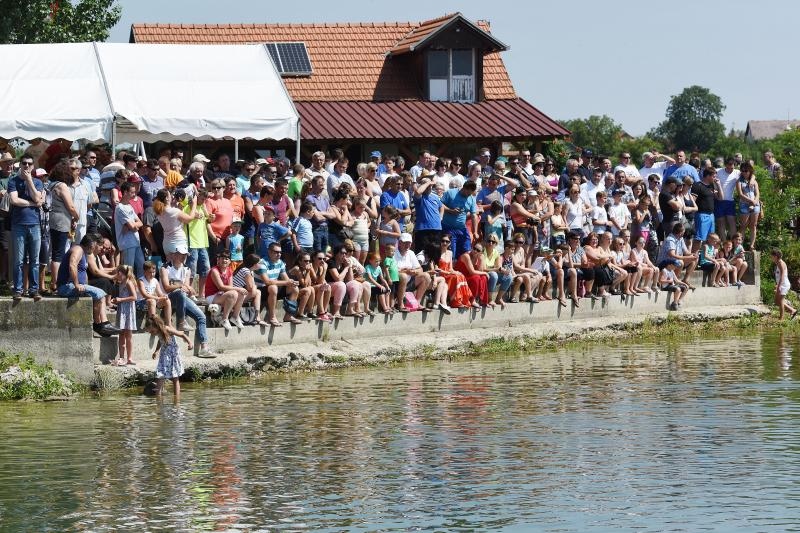 Na Preloskoj Marini odrzana tradicionalna utrka starih ladji, Lov na labudje pero. Photo: Vjeran Zganec Rogulja/PIXSELL Na Preloskoj Marini odrzana tradicionalna utrka starih ladji, Lov na labudje pero. Photo: Vjeran Zganec Rogulja/PIXSELL