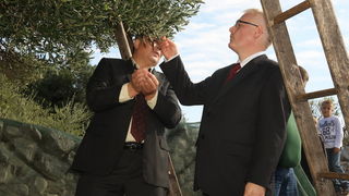 Zadar, 031010.
Predsjednik Hrvatske Ivo Josipovic posjetio je mjesto Lun na otoku Pagu. Obisao je stari maslinik i uljaru Lun Zeljimira Badurine.
Na fotografiji: predsjednik u masliniku.
Foto : Vladimir Ivanov / CROPIX