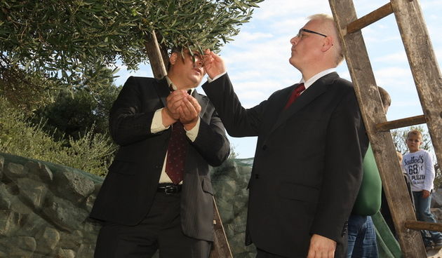Zadar, 031010.
Predsjednik Hrvatske Ivo Josipovic posjetio je mjesto Lun na otoku Pagu. Obisao je stari maslinik i uljaru Lun Zeljimira Badurine.
Na fotografiji: predsjednik u masliniku.
Foto : Vladimir Ivanov / CROPIX