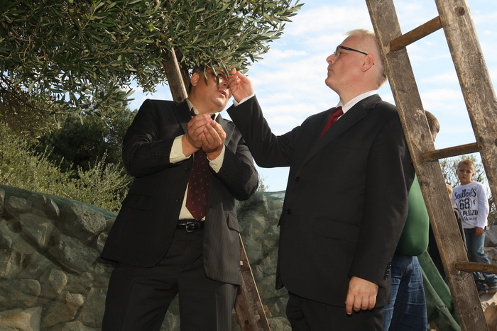 Zadar, 031010.
Predsjednik Hrvatske Ivo Josipovic posjetio je mjesto Lun na otoku Pagu. Obisao je stari maslinik i uljaru Lun Zeljimira Badurine.
Na fotografiji: predsjednik u masliniku.
Foto : Vladimir Ivanov / CROPIX