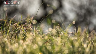 Nedjeljno svitanje na Vranskom jezeru Nedjeljno svitanje na Vranskom jezeru