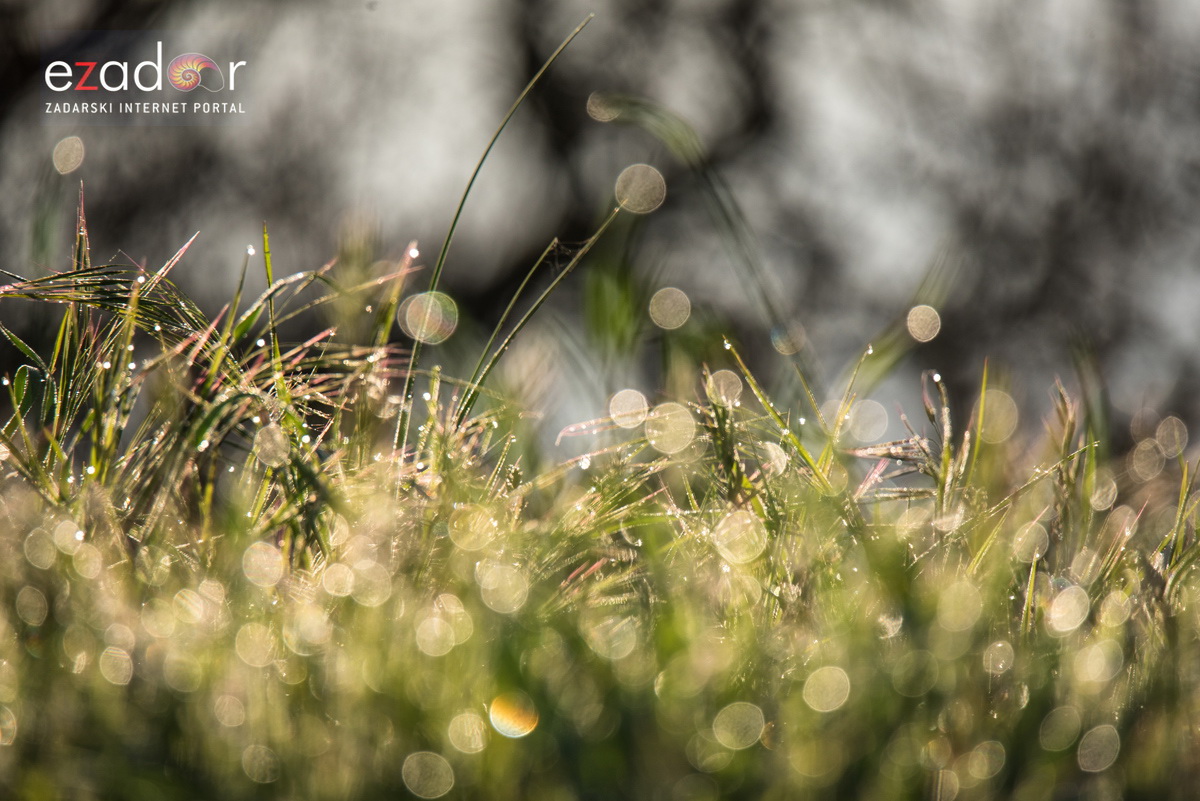 Nedjeljno svitanje na Vranskom jezeru Nedjeljno svitanje na Vranskom jezeru