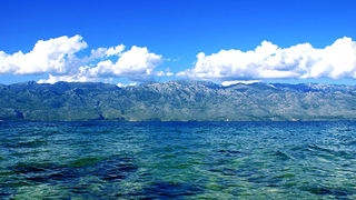 Image 1194631 (auto)