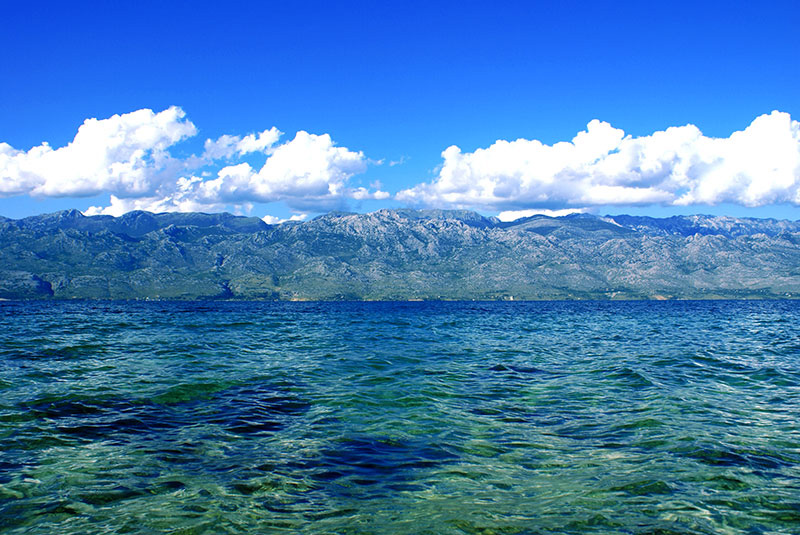 Image 1194631 (auto)