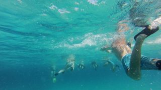 25.07.2013., Dugi otok, Sakarun – Uzduz i poprijeko Dugog otoka u zadarskom arhipelagu u ljetnim danima prepuno je turista, a najomiljenija plaza zasigurno je Sakarun, koja sa nalazi u uvali pokraj mjesta Veli Rat. Pjeskovita plaza sa tirkizno cistim mo