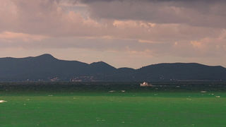 Image 1194625 (auto)