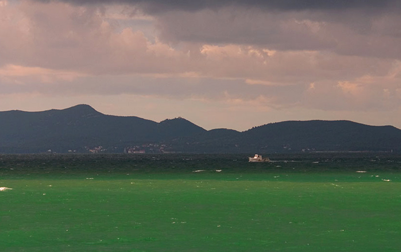 Image 1194625 (auto)