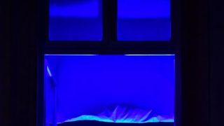 Svečano otvorenje obnovljene Kneževe palače Svečano otvorenje obnovljene Kneževe palače