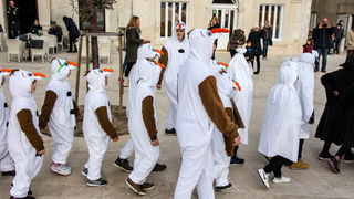 Paški zimski karneval 2017.- Maškarane skupine u karnevalskoj povorci Paški zimski karneval 2017.- Maškarane skupine u karnevalskoj povorci