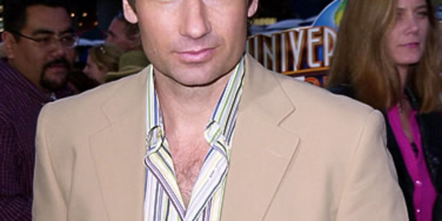 David Duchovny David Duchovny