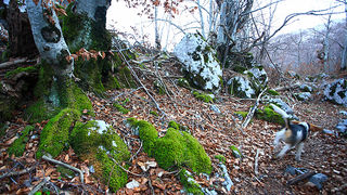 Uspon na Bojin Kuk i pogled na Italiju, Foto: Leo Banić Uspon na Bojin Kuk i pogled na Italiju, Foto: Leo Banić