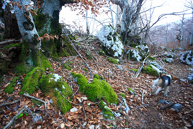 Uspon na Bojin Kuk i pogled na Italiju, Foto: Leo Banić Uspon na Bojin Kuk i pogled na Italiju, Foto: Leo Banić