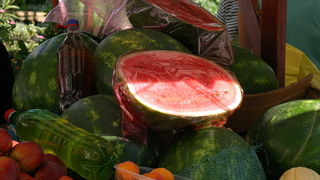 Image 1205457 (auto)