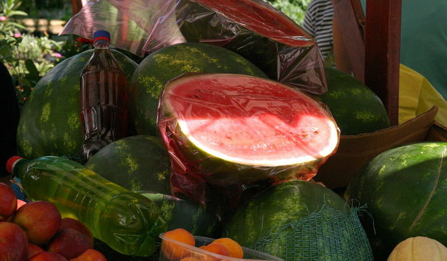 Image 1205457 (auto)